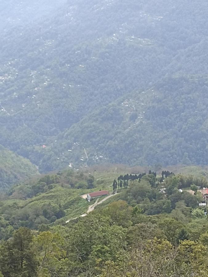 Bastola Stay Darjeeling  Eksteriør bilde